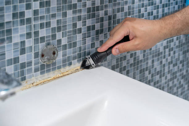 Professional Mold Removal in Eastport, ME